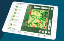 Fieldview Prime