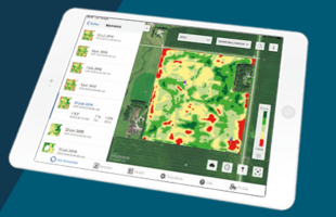 Fieldview Prime