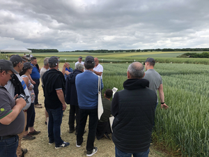 groupe de visiteurs assistant à un atelier Bayer sur le désherbage céréales organisé au champ sur les pratiques culturales