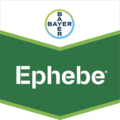 Ephebe ®