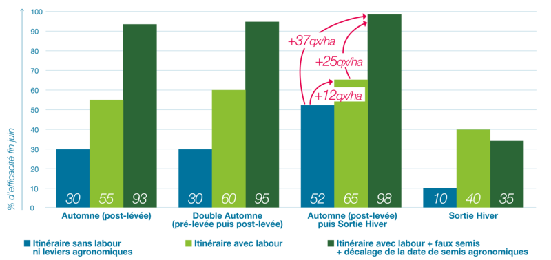 Histogramme illustrant l’efficacité d’un désherbage associant programmes herbicides d’automne et sortie d’hiver