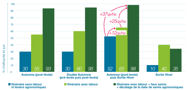Histogramme illustrant l’efficacité d’un désherbage associant programmes herbicides d’automne et sortie d’hiver