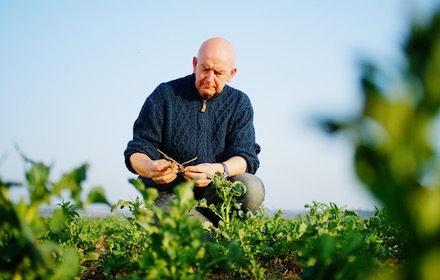 Webinar. Carbone : quelles opportunités pour les agriculteurs en grands cultures ?