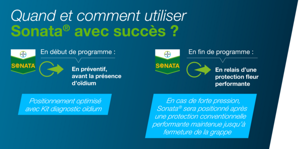 Infographie illustrant l'utilisation de Sonata qui lutte contre oidium de la vigne