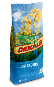 DK EXQUIS DK EXQUIS