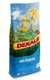 DK EXQUIS