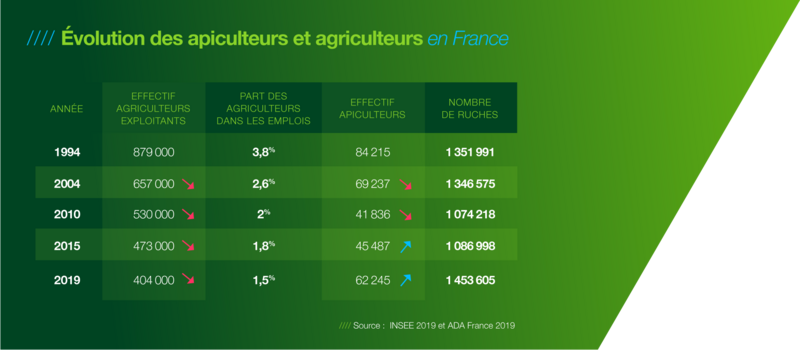 L'apiculture en France et son tableau montrant l’évolution d’apiculteurs en France, en hausse depuis une dizaine d’année.