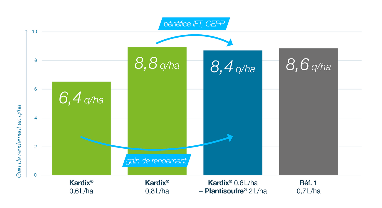 Les 3 atouts différenciants du pack Kardix® Plantisoufre, une solution performante pour protéger ses blés de la septoriose et des autres maladies