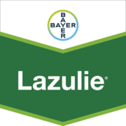 Lazulie®