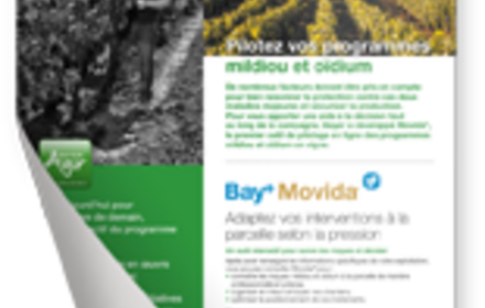 Pilotez vos programmes mildiou et oïdium