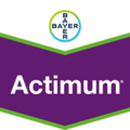 Actimum.png