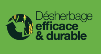 Dossier d'expertise : pour un désherbage efficace et durable dans la rotation