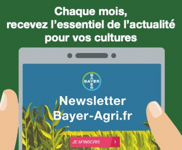 Les bonnes pratiques, ça se partage : Bayer-Agri, conseils phyto