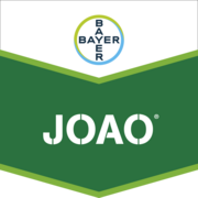 Joao®