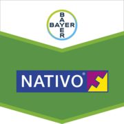 Nativo®