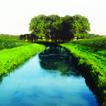 Eau : photo d'une rivière en plein milieu des champs de maïs