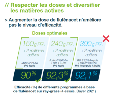 Comment pérenniser l’efficacité du flufénacet et préserver la ressource en eau ?