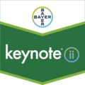 Keynote®