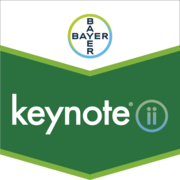Keynote®