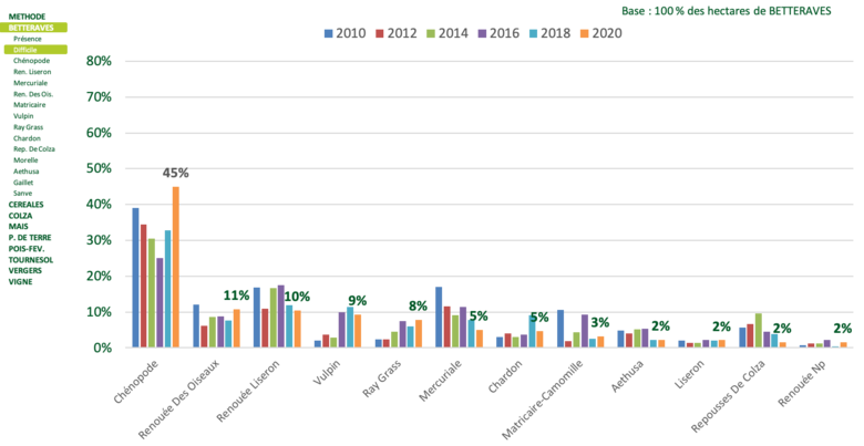 Classement des adventices de la betterave les plus fréquentes : Bayer-Agri, conseils phyto