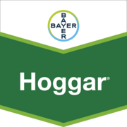 Hoggar®