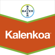 Kalenkoa®