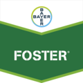 Foster®