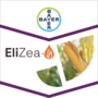 ELIZEA