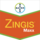 Zingis® Maxx