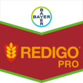 Redigo® Pro