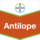 Antilope®