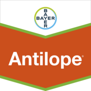 Antilope®