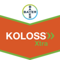 Koloss® XTRA