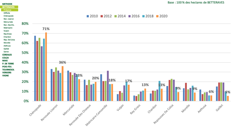 Classement des adventices de la betterave les plus fréquentes : Bayer-Agri, conseils phyto