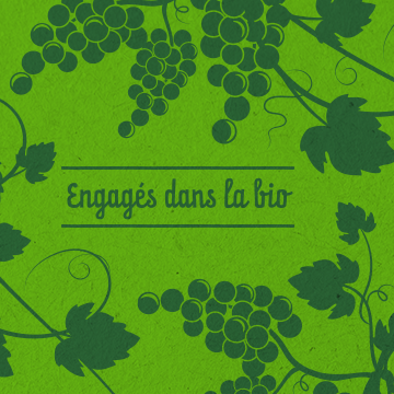 Nos solutions et services utilisables en viticulture biologique.