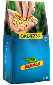 DKC4231