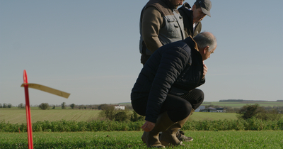 tour de plaine avec agriculteur et ingénieur technique et observations des résultats de désherbage