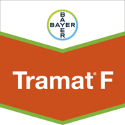 Tramat® F