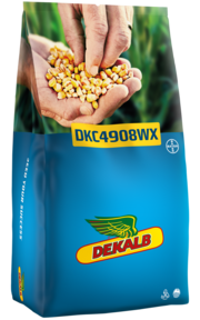 DKC4908WX