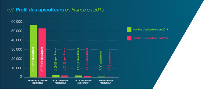 L'apiculture en France, schéma donnant le profil des apiculteurs en France