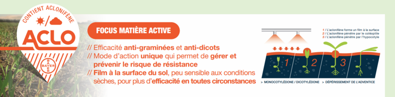 Infographie faisant un focus sur la matière active Aclonifène