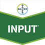 Input®