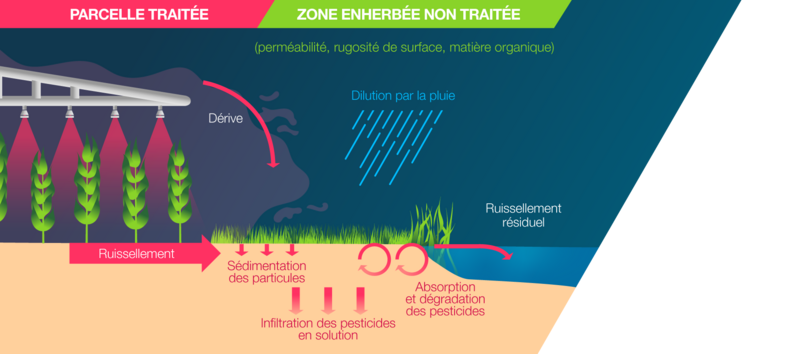 Phrase SPe3 : schéma montrant l'intérêt technique d'une zone non traitée