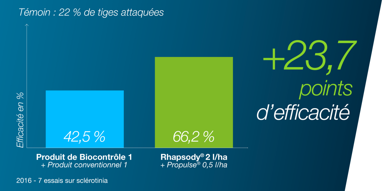 Résultats d'efficacité sur tige de colza, de l'association du biocontrôle Rhapsody® avec le fongicide colza Propulse®