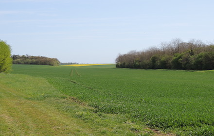 connaître et comprendre biodiversité des sols