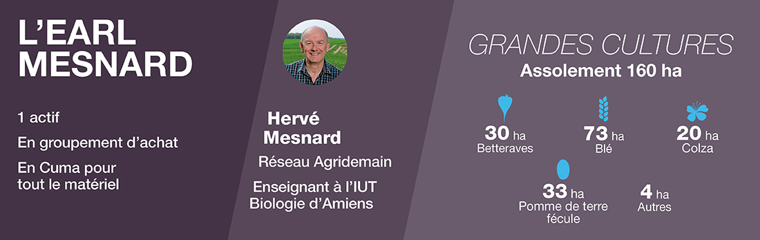 Illustration représentant l'assolement grandes cultures de l'exploitation de l’EARL Mesnard dans la Somme avec une photo de l'agriculteur et une description de cette exploitation engagée dans la biodiversité agricole.
