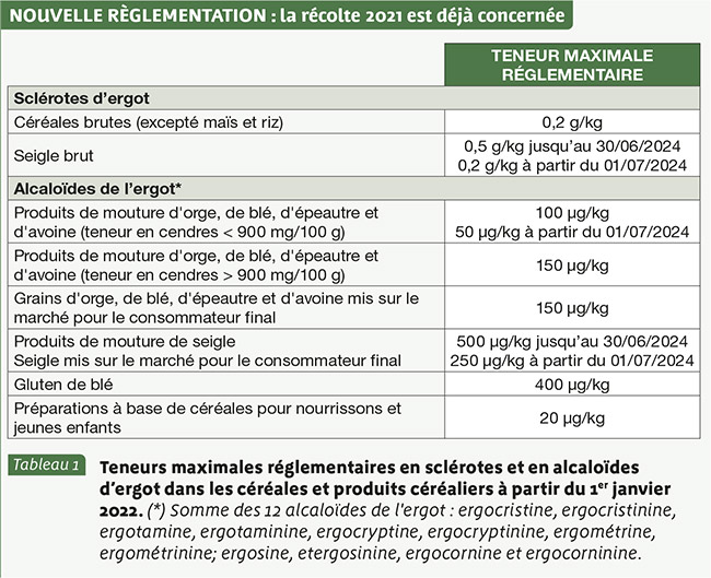 Mateno® dès la pré-levée, un levier efficace pour maîtriser l'ergot des céréales