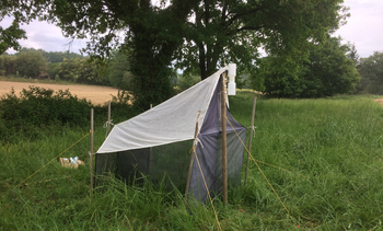 tente malaise installée près du cours d’eau afin d’observer et faire l’inventaire de la biodiversité