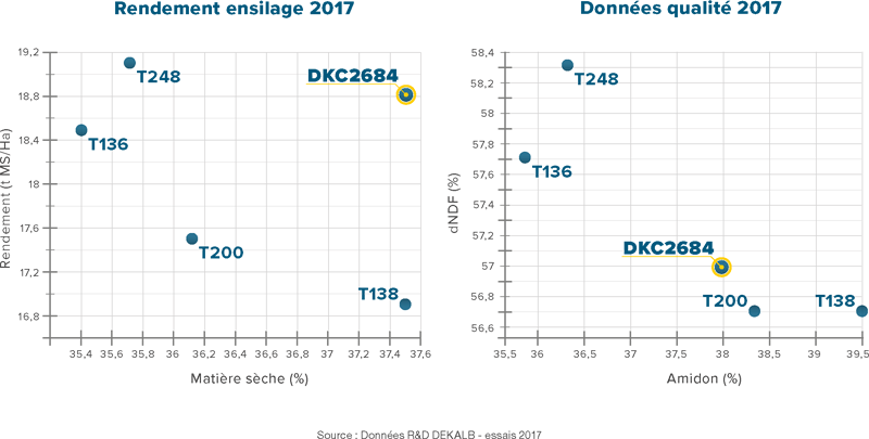 DKC 2684