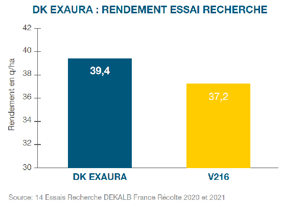 DK_EXAURA